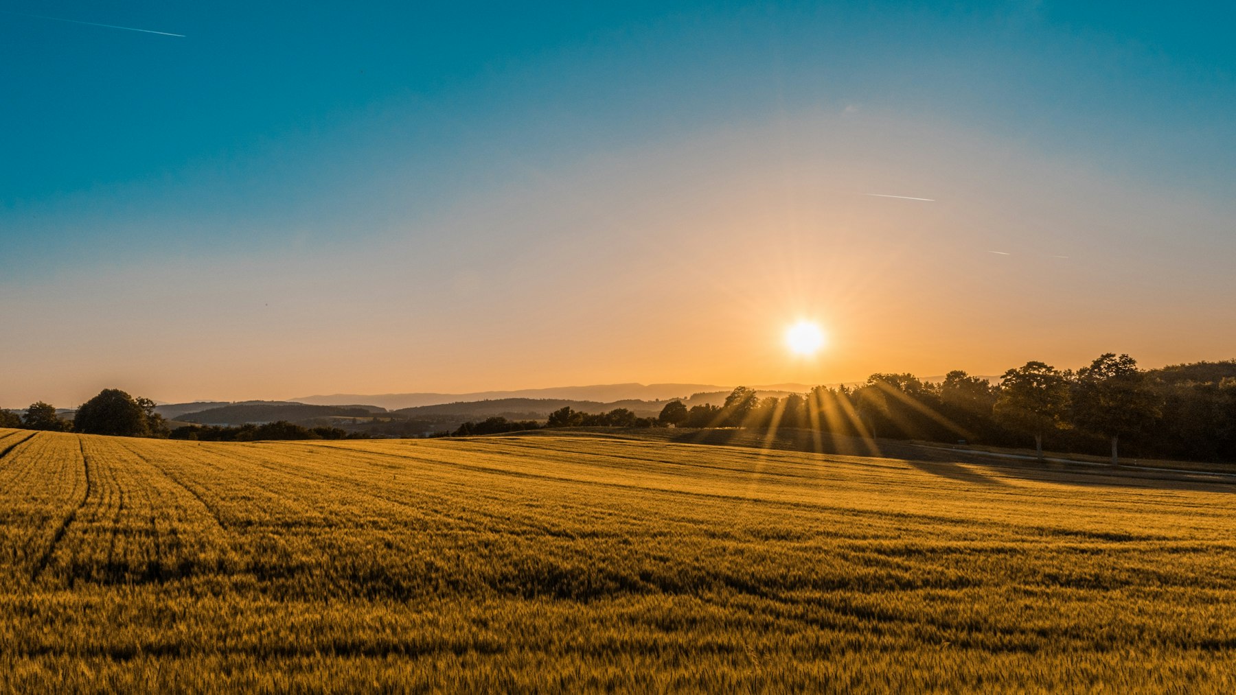 Mains d'agriculteur tenant de jeunes pousses